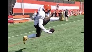 Odell Beckham Jr onehanded trick catch  Cleveland Browns [upl. by Ibed]