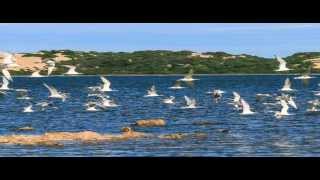 The Coorong South Australia [upl. by Witt]