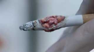 AntiSmoking Ads Show Tumours On Cigarettes [upl. by Ecnarret]