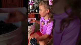 Como é feito o Suco de UVA 🍇 🤔 educativo fofo shorts [upl. by Leind]