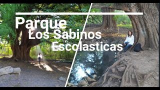 Parque Los Sabinos Escolásticas [upl. by Mateo]