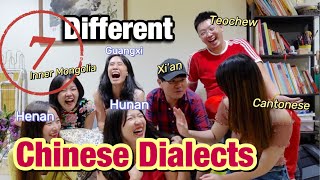 Mandarin Accents  Seven Completely Different Chinese Dialects  Real Chinese Conversation [upl. by Maurilla508]