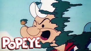 All New Popeye Popeye the Painter AND MORE Episode 38 [upl. by Norag582]