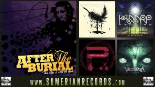 AFTER THE BURIAL  Redeeming The Wretched 2013 [upl. by Esaertal]