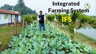 Integrated Farming System IFS  समेकित कृषि प्रणाली  वर्ष भर आमदनी का सुलभ ज़रिया [upl. by Elacsap]