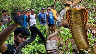 DAANAN PALANG PTAY NA DAHIL SA KAMANDAG NG COBRA [upl. by Gaston]