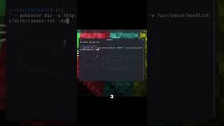 Gobuster Tutorialcybersecurity tutorial shorts [upl. by Karame246]