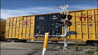 Union Pacific Freight Train With New Boxcars Ave G Crossing Knippa TX [upl. by Adiaj]