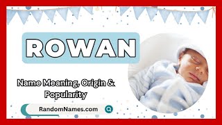 Rowan  Baby Boy Name Meaning Origin amp Popularity  RandomNamescom [upl. by Nylarahs]