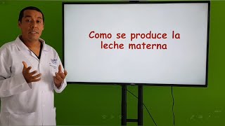 Alimentos que estimulan la producción de leche materna [upl. by Nedrob]