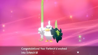 How to Evolve Galarian Farfetchd into Sirfetchd Updated  Pokémon Sword amp Shield [upl. by Pooh249]