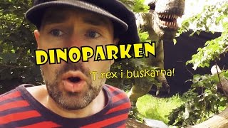 TREX lurar i buskarna  DINOPARKEN med Pappa Kapsyl  kul fakta om dinosaurier för barn [upl. by Salene]