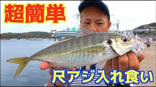 巨大アジが簡単に無限に釣れる！？調査してきた！ [upl. by Terrijo]