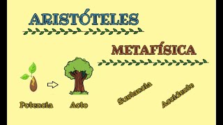 Metafísica de ARISTÓTELES [upl. by Rikahs364]