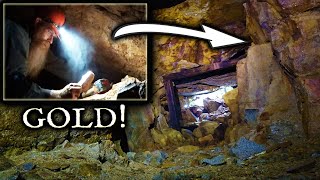 Finding GOLD in the RICHEST vein in the mine [upl. by Netty]