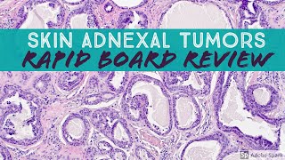 Skin Adnexal Tumors Dermpath Board Review for Dermatology Pathology amp Dermpath [upl. by Dari780]