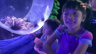 Wisata Edukasi  Zara Cute Mengenal Hewan Beracun di Jakarta Aquarium part 2  Homeschooling [upl. by Sileray]