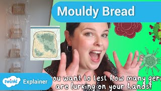 Mouldy Bread Science Experiment For Kids [upl. by Mcquade502]