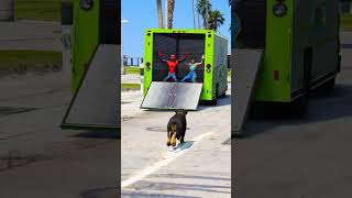 GTA V  Dogs teaches us love in its purest form  Part 27  shorts youtubeshorts [upl. by Dana]