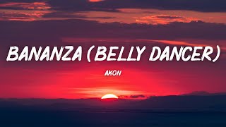 Akon  Bananza Belly Dancer Lyrics [upl. by Natsreik]