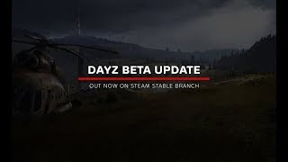 Guide How To Install A Local Server On Your PC For Single Player DayZ amp Mod Testing amp Experimenting [upl. by Allana]