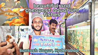 wide range of aquarium fish at cheapest rate l AQUA ZOO 3 l santoshnagar hyderabad [upl. by Salazar]