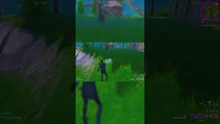 fortnite fortniteclips [upl. by Gardal]