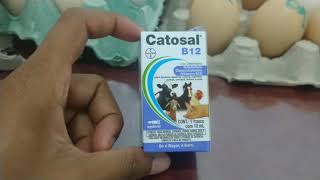 Catosal B12 vitamina pra Galinhas e aves [upl. by Onimod]