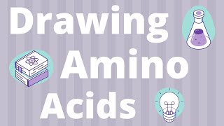 How to draw amino acids and peptide bonds to make a protein [upl. by Nie151]