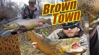 NY Brown Trout Fishing [upl. by Nissy]