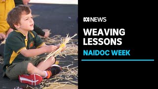 NAIDOC Week Students learn about aboriginal culture through traditional weaving  ABC News [upl. by Langley565]