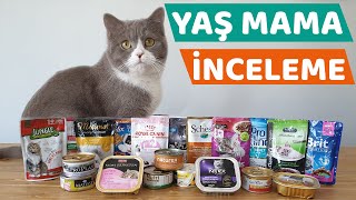 KEDİLER İÇİN YAŞ MAMA İNCELEMESİ Yaş Mama Önerisi [upl. by Nedry]