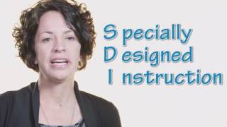 Special Education  The Basics of an Individualized Education Program IEP [upl. by Omland]