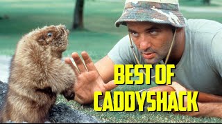 Best of Caddyshack 1980 [upl. by Einaej]