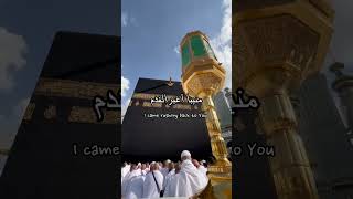 Ilahi Wasiul Karami Arabic Nasheed  English translation status lyrics shorts youtubeshorts [upl. by Koetke835]