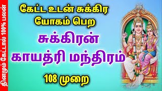 🔥சுக்கிரன் காயத்ரி மந்திரம்  💥சுக்கிரன் mantra 108 tamilmantra ⚡தமிழ்மந்திரம்✨ [upl. by Panayiotis]