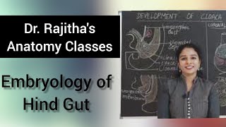 Embryology Development of Hind gut by Dr Rajitha Vanga [upl. by Nanon947]