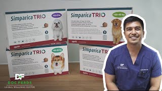 SIMPARICA TRIO The Newest Anti Parasitic Product for Your Dogs In The Market Today [upl. by Eihcra]