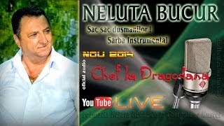 NELUTA BUCUR  Sac sac dusmanilor  Sarba instrumental live audio [upl. by Capp648]