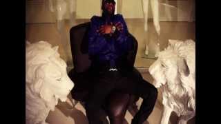 Fally Ipupa  Nyokalessé Clip Officiel [upl. by Irihs]