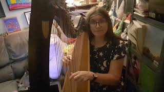 The Frost Creeps In Improv 1938 Ogden lever harp and shruti box [upl. by Sev]