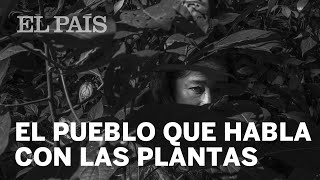 Shipibokonibo el pueblo que habla con las plantas [upl. by Howland]