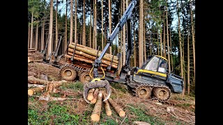 🌲 Ponsse Buffalo • Forwarder in Action • Forstarbeiten • Rückezug im Einsatz • Aarman Puit 🌲 [upl. by Lanctot]