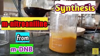 Synthesis of mnitroaniline from mdinitrobenzene  Saw in the discription box [upl. by Junieta]