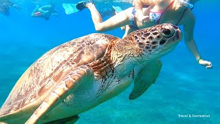 SNORKELING Egypt  Marsa Alam coral reefs and turtles [upl. by Frederica]