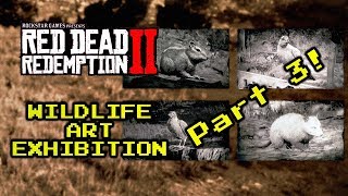 Red Dead 2  Wildlife Art Exhibition Walkthrough  Part 3 chipmunk oriole robin and opossum [upl. by Chladek]