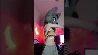 cfcaptures furry tiktok 12 [upl. by Dumanian713]