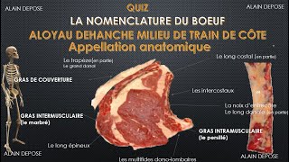 QUIZ ALOYAU DEHANCHE MILIEU DE TRAIN DE COTE [upl. by Anselmo]