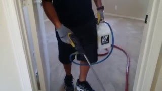 How to professional carpet cleaning dirty carpets [upl. by Jase]