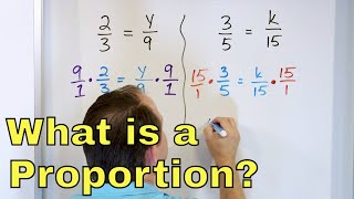 What is a Proportion in Math Calculate amp Solve Proportions amp Equations  633 [upl. by Llevron]